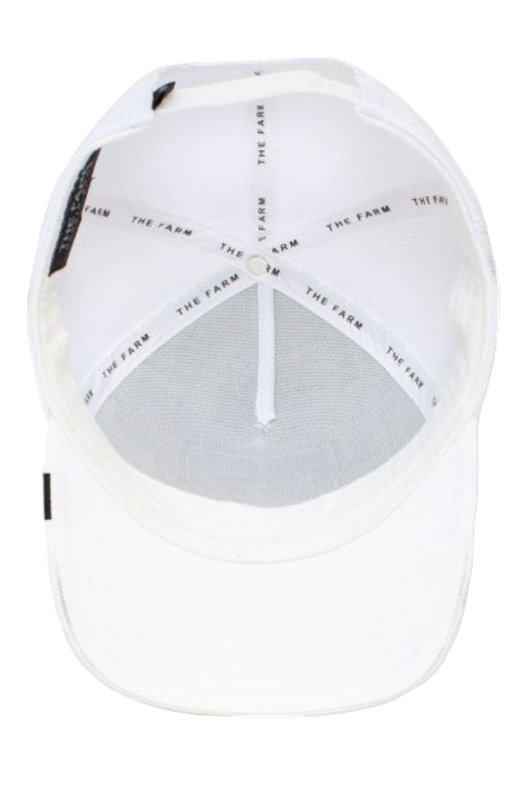 Gorra Goorin Bros Platinum Word Loro Blanco, 101-1043.