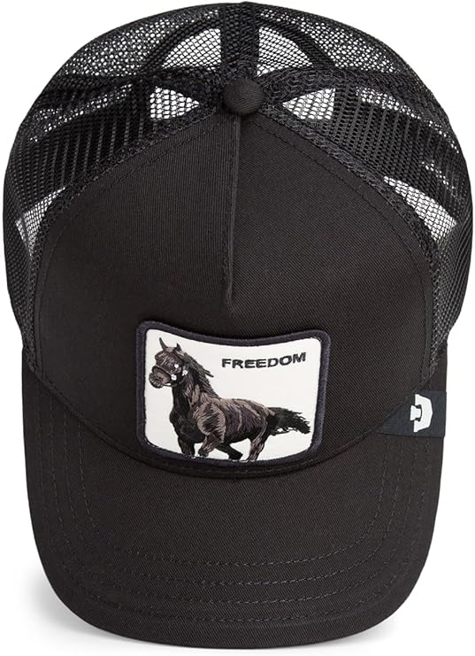 Goorin Bros. Gorra de béisbol de malla  para hombre, talla única 101-2594